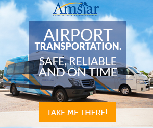 Amstar logo and link to search